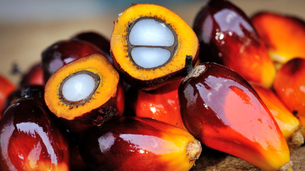 palm oil